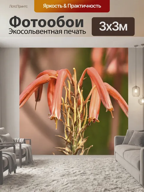 Фотообои Цветы