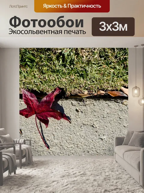 Фотообои Red Leaf Green Grass