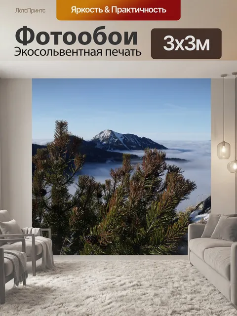 Фотообои Татрах зимой