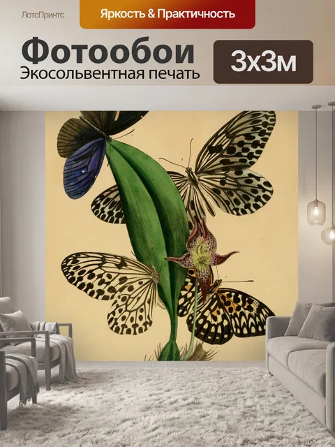 Фотообои Бабочки Винтажное Искусство