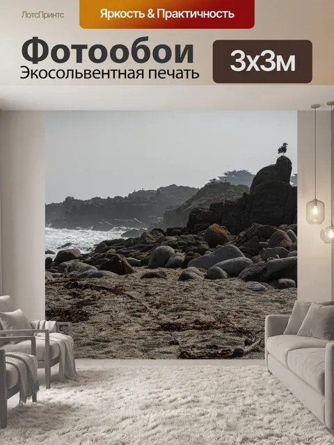 Фотообои Чайка и море