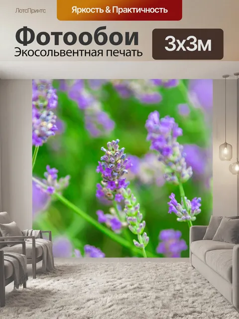 Фотообои цветущая лаванда