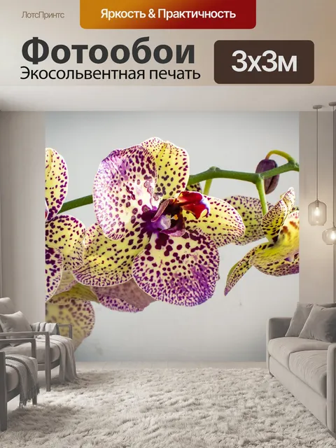 Фотообои Цветы