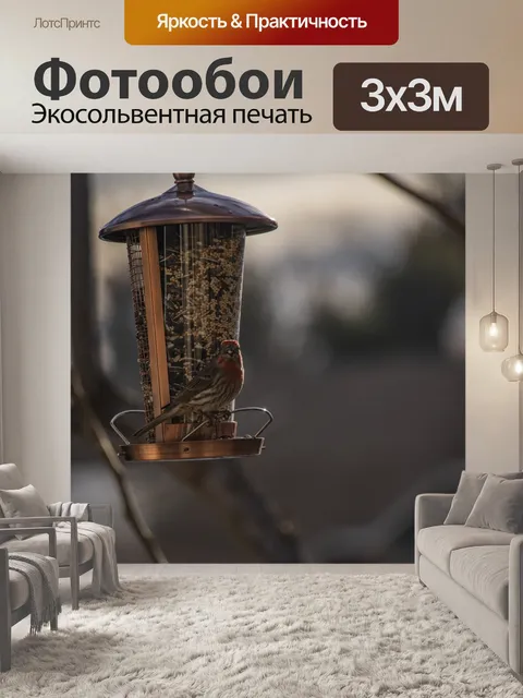 Фотообои Дом Финч на Фидере
