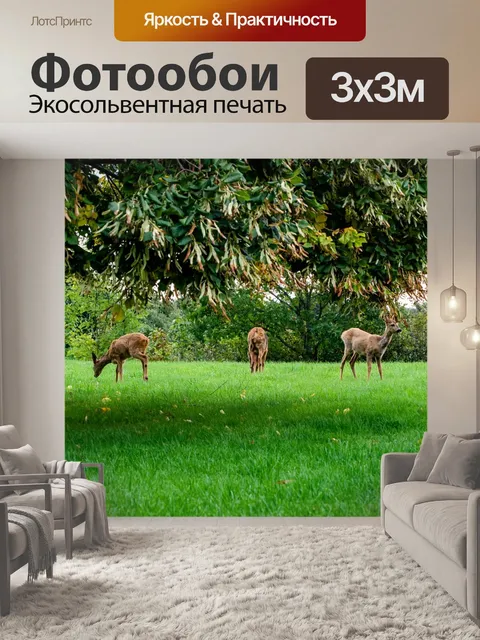 Фотообои Олень