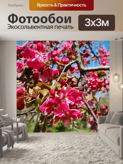 Фотообои Цветы