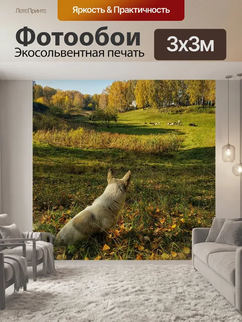 Фотообои Осень