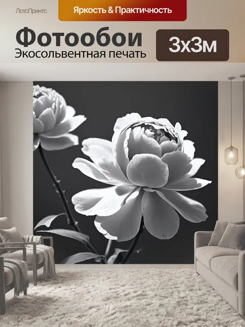 Фотообои пионы в стиле минимализм
