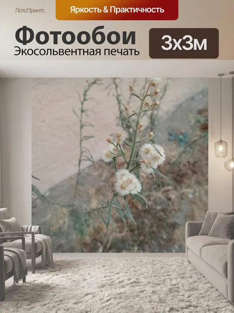 Фотообои Двор Сорняк 1