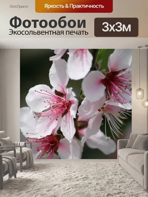Фотообои Персик цветок в цвету