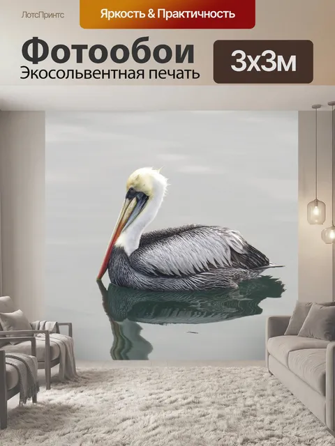 Фотообои Птица