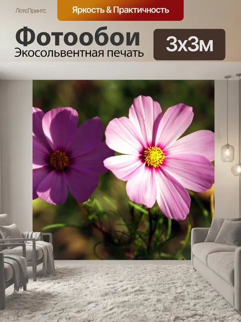 Фотообои Цветы