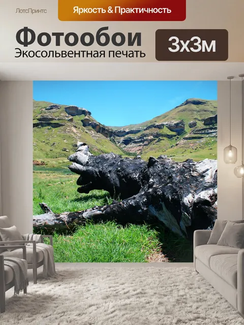 Фотообои сожжены пень и горы
