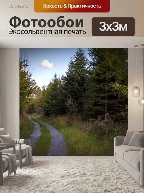 Фотообои Лес