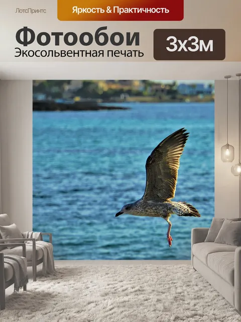 Фотообои Перья