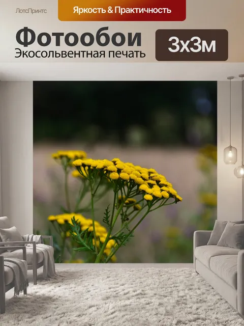 Фотообои Цветок