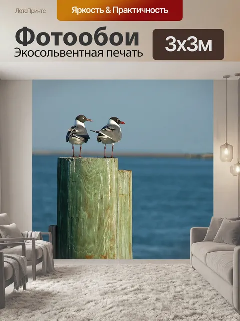 Фотообои Смеясь Чайки
