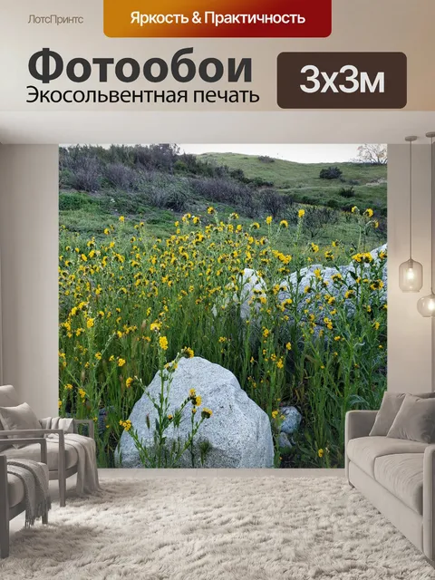 Фотообои Желтые валуны полевых цветов