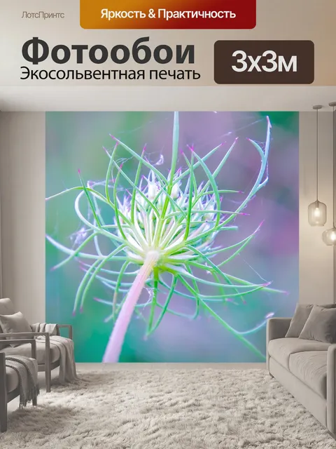 Фотообои Цветок