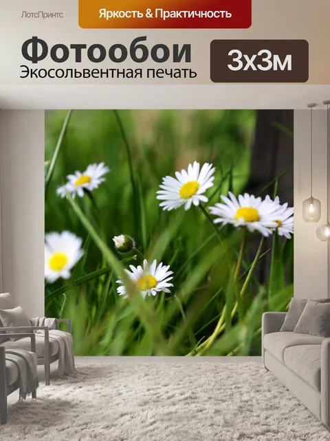Фотообои Ромашки II