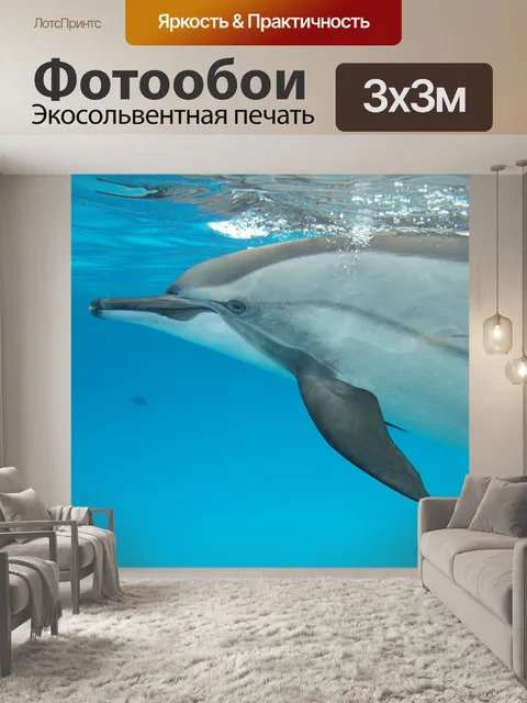 Фотообои Дельфин