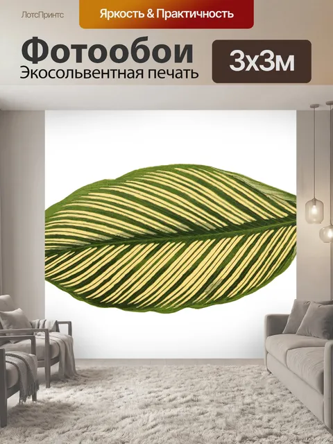 Фотообои Листва лист растение прозрачный