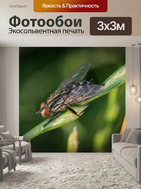 Фотообои Летать