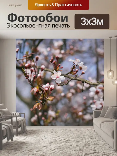 Фотообои Цветение вишни