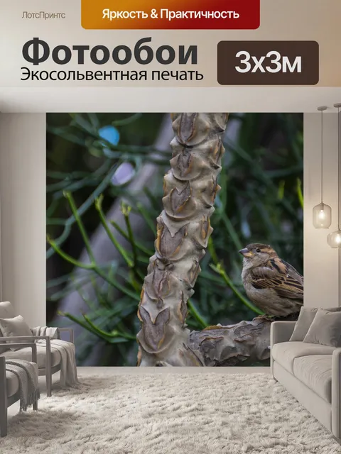 Фотообои Воробей