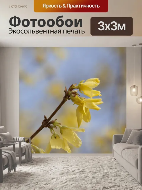 Фотообои Форсайтия