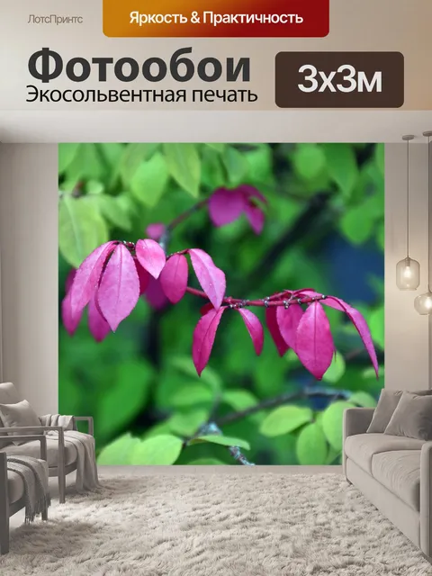 Фотообои Листья