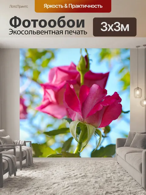 Фотообои Розы