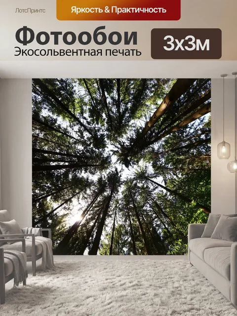 Фотообои Деревья