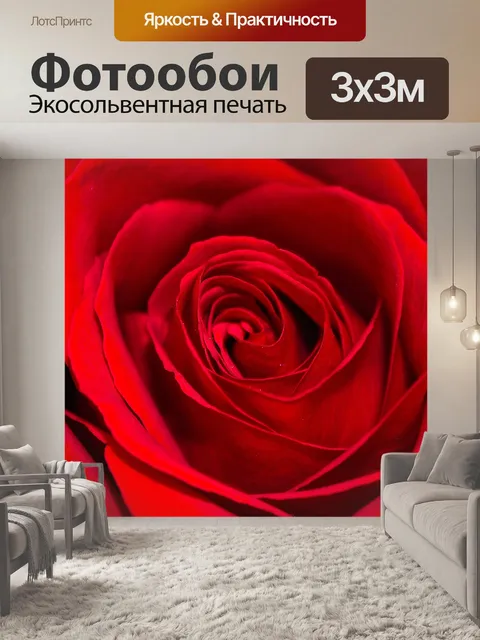 Фотообои Красная роза - фон