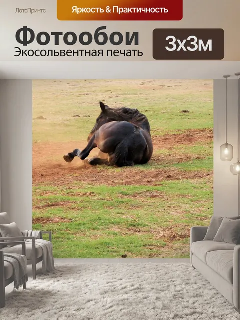 Фотообои лошадь прокатки в пыли