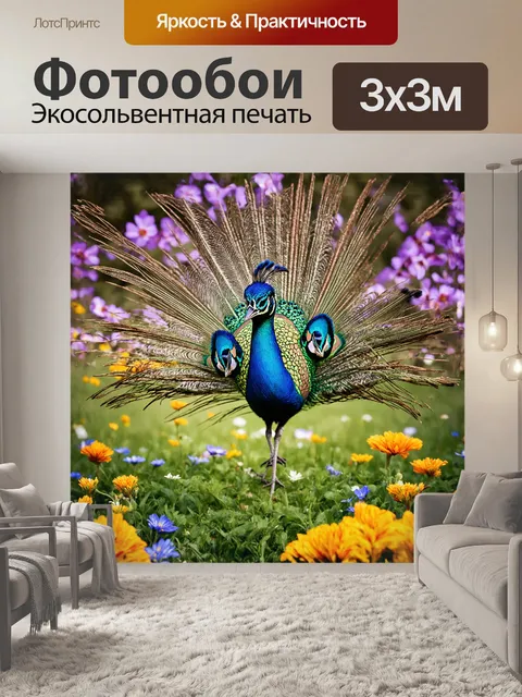 Фотообои величественное павлинье перо