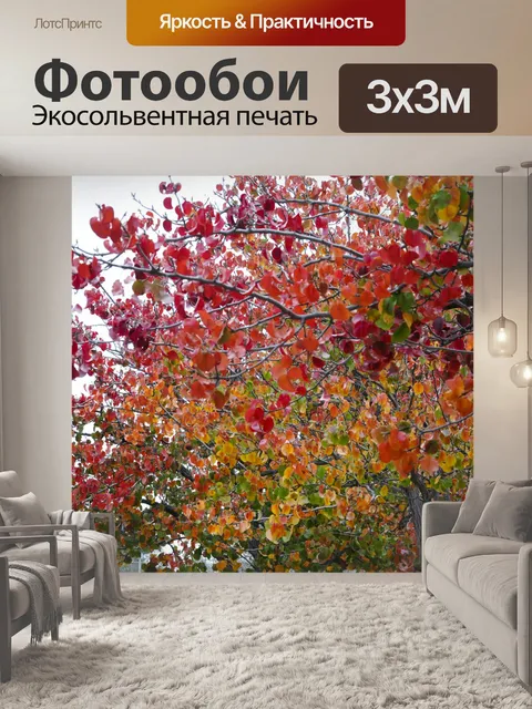 Фотообои Блестяще Цветные фоне дерева