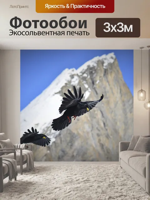 Фотообои Птица