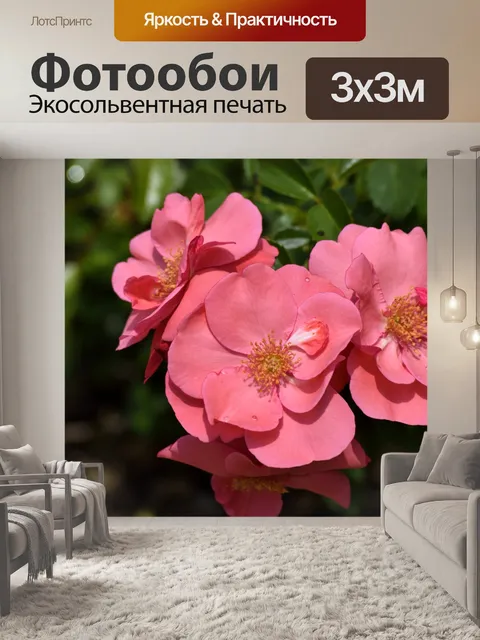 Фотообои Яркий Петуния цветок