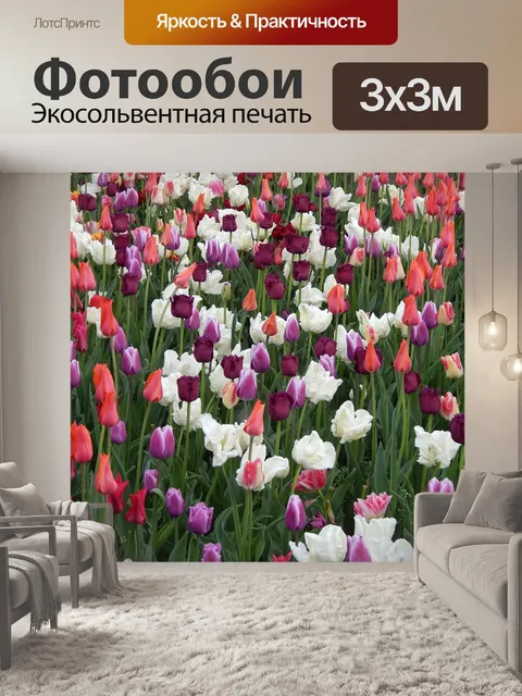Фотообои Тюльпаны