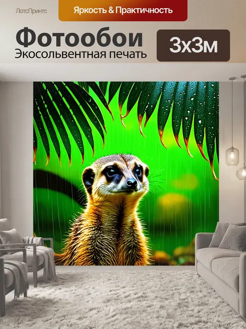 Фотообои сурикат во время тропического дождя