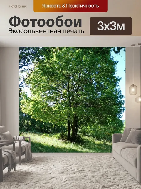 Фотообои Пейзажи
