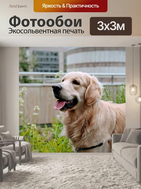 Фотообои Собака