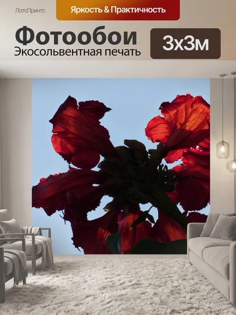 Фотообои Расцветает