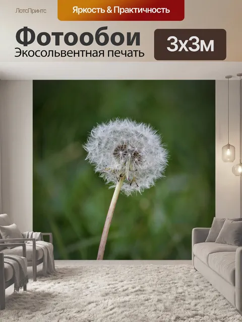 Фотообои Одуванчики