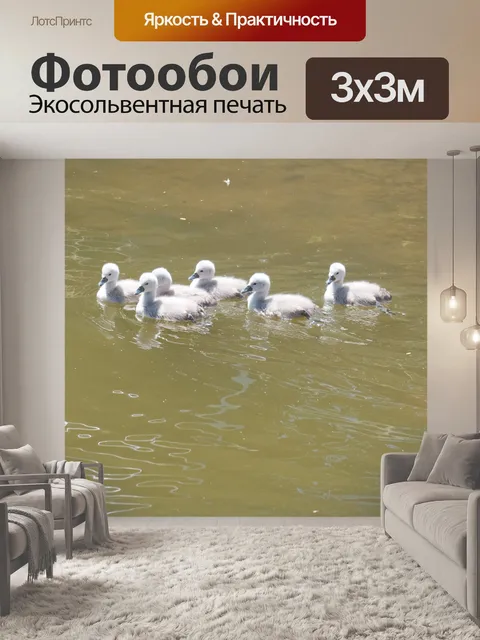 Фотообои Брат маленьких лебедей