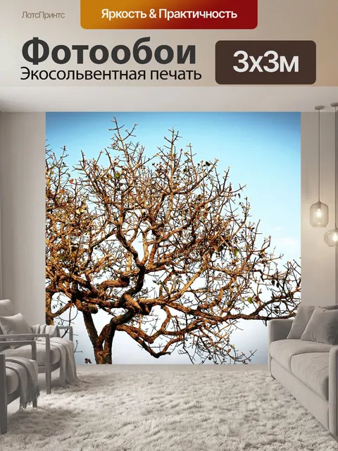 Фотообои Силуэт дерева в природе