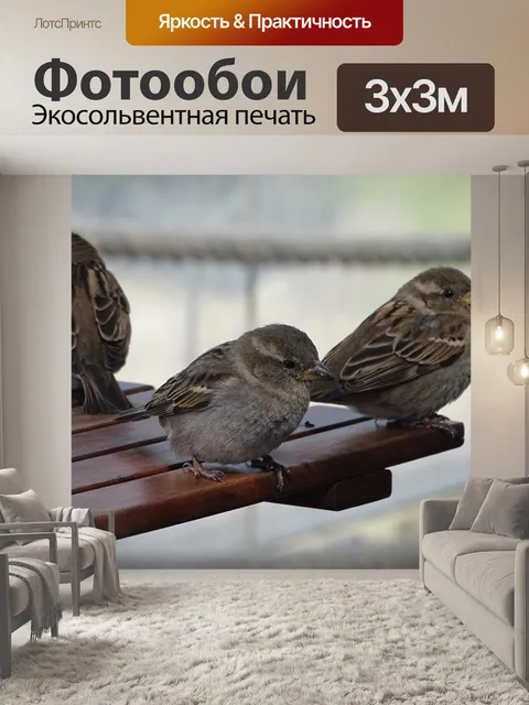 Фотообои Птицы