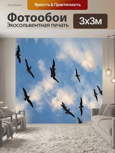 Фотообои Птицы