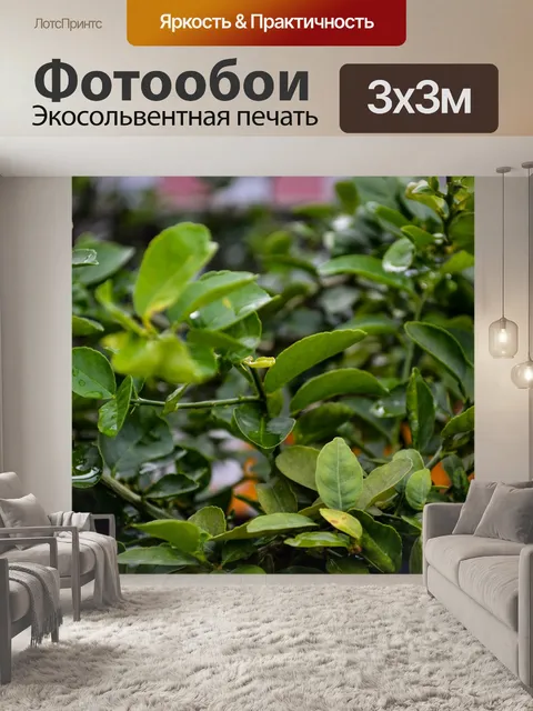 Фотообои Листья лимона